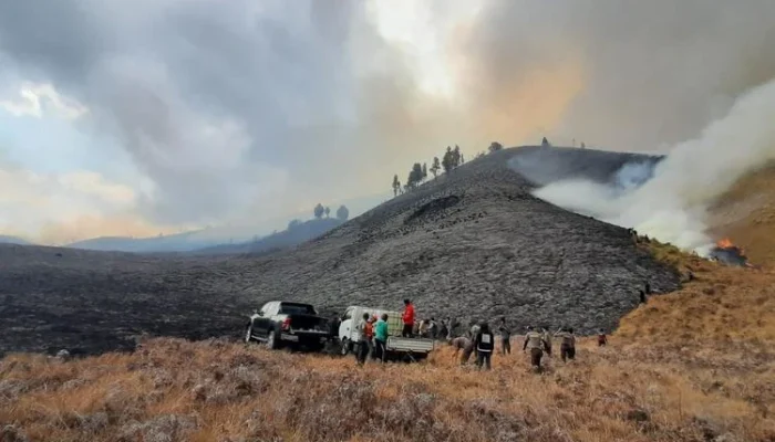 Kebakaran Gunung Bromo: Upaya Pemadaman Diperluas, 2 Titik Api Masih Aktif