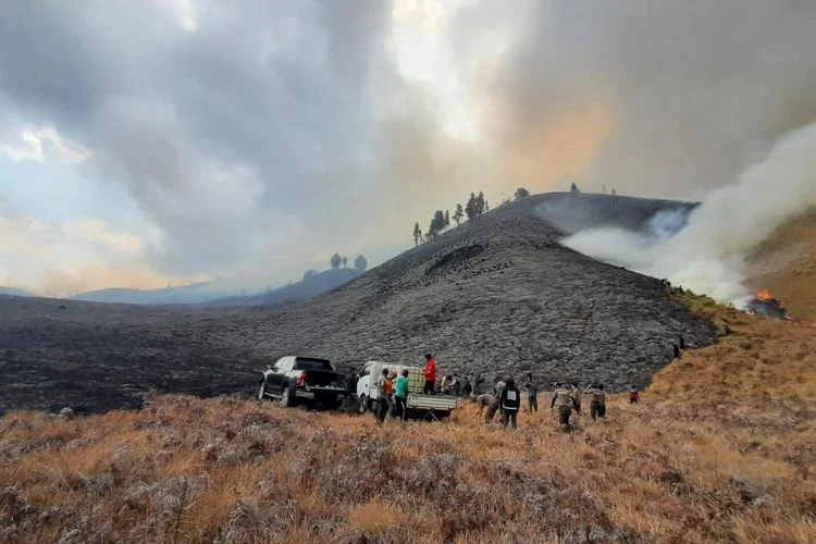 Kebakaran Gunung Bromo: Upaya Pemadaman Diperluas, 2 Titik Api Masih Aktif