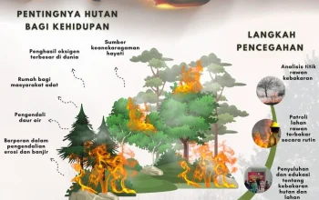 Kebakaran Hutan dan Lahan Meluas, Pemerintah Diminta Perkuat Langkah Pencegahan