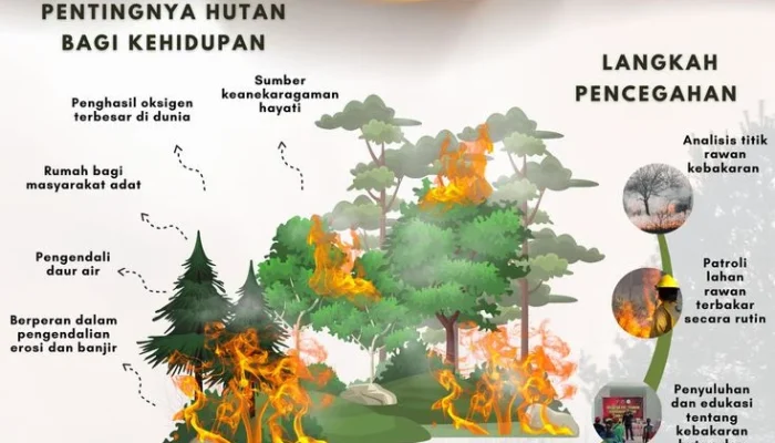 Kebakaran Hutan dan Lahan Meluas, Pemerintah Diminta Perkuat Langkah Pencegahan