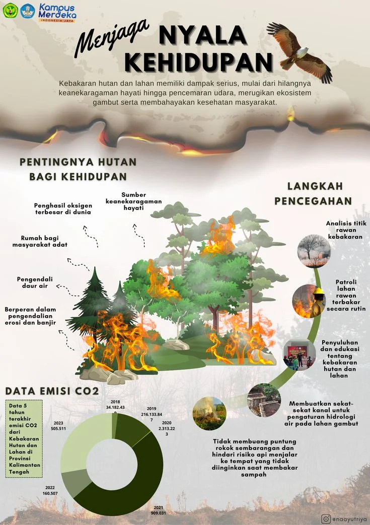 Kebakaran Hutan dan Lahan Meluas, Pemerintah Diminta Perkuat Langkah Pencegahan