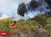 Kebakaran Hutan di Gunung Bromo Meluas, Upaya Pemadaman Ditingkatkan