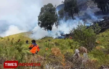 Kebakaran Hutan di Gunung Bromo Meluas, Upaya Pemadaman Ditingkatkan