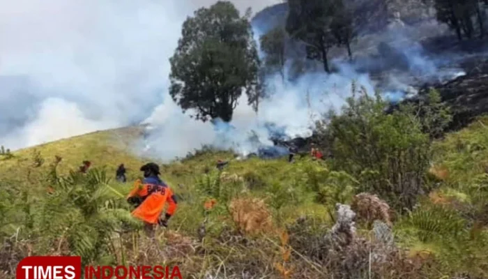 Kebakaran Hutan di Gunung Bromo Meluas, Upaya Pemadaman Ditingkatkan