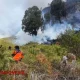 Kebakaran Hutan di Gunung Bromo Meluas, Upaya Pemadaman Ditingkatkan
