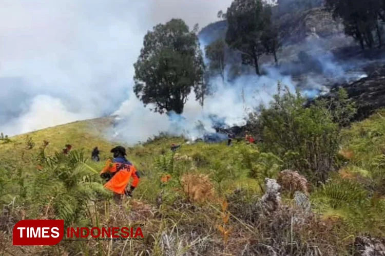 Kebakaran Hutan di Gunung Bromo Meluas, Upaya Pemadaman Ditingkatkan