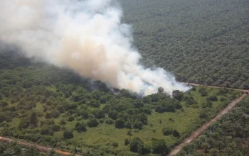 Kebakaran Lahan Gambut dan Kasus Kematian Gajah di Areal Perkebunan Kelapa Sawit