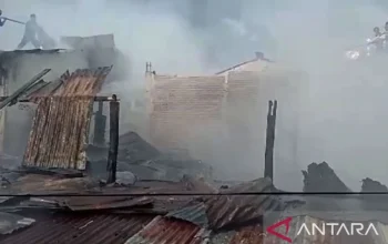 Kebakaran Melanda Mal Nipah Makassar, Penyebab Belum Diketahui