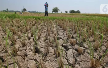 Kekeringan Melanda Prancis: 70 Persen Wilayah Terkena Pembatasan Air