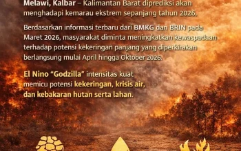 Kemarau 2026: Indonesia Menghadapi Kekeringan Parah, Pemerintah Diminta Serius Antisipasi