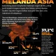 Krisis Melanda Berbagai Negara: Dari Visa Hingga Gelombang Panas
