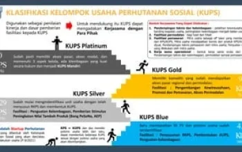 KuPS Pimpin Klasemen Sementara Veikkausliiga, Kelompok Usaha Perhutanan Sosial Dorong Ekonomi Masyarakat