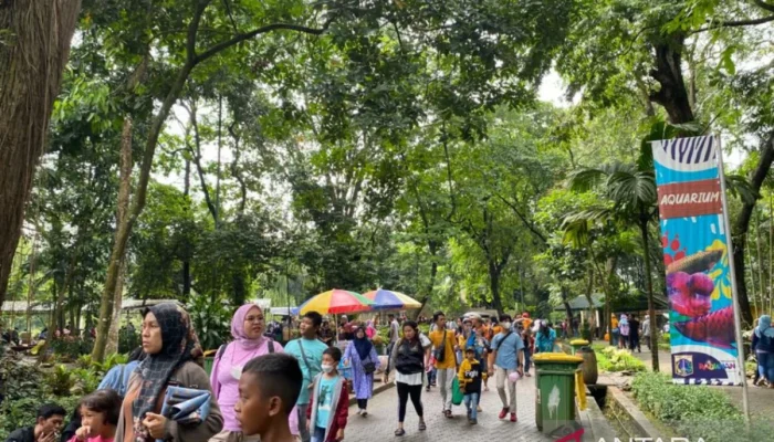 Libur Nasional: Berbagai Kegiatan Menarik di Taman Margasatwa Ragunan dan Destinasi Lainnya