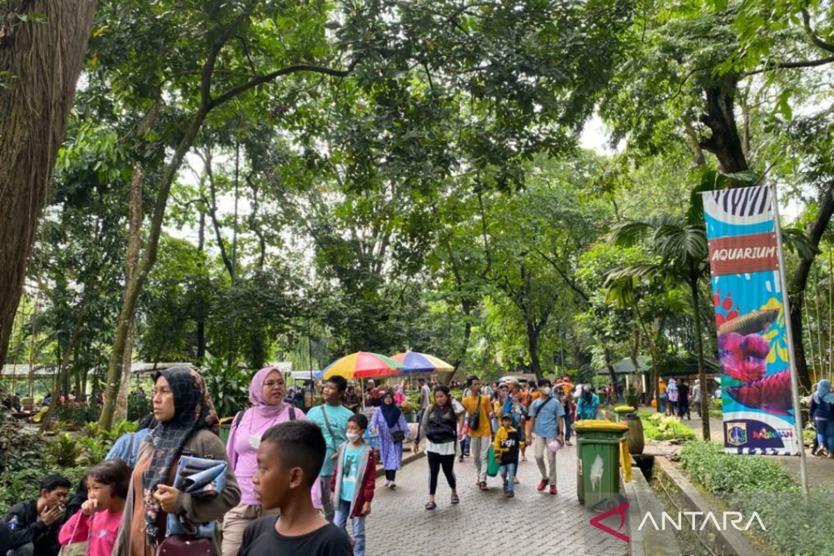 Libur Nasional: Berbagai Kegiatan Menarik di Taman Margasatwa Ragunan dan Destinasi Lainnya