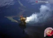LPDP Siap Biayai Riset Pemulihan Ekosistem Laut Timor Pasca Tumpahan Minyak Montara