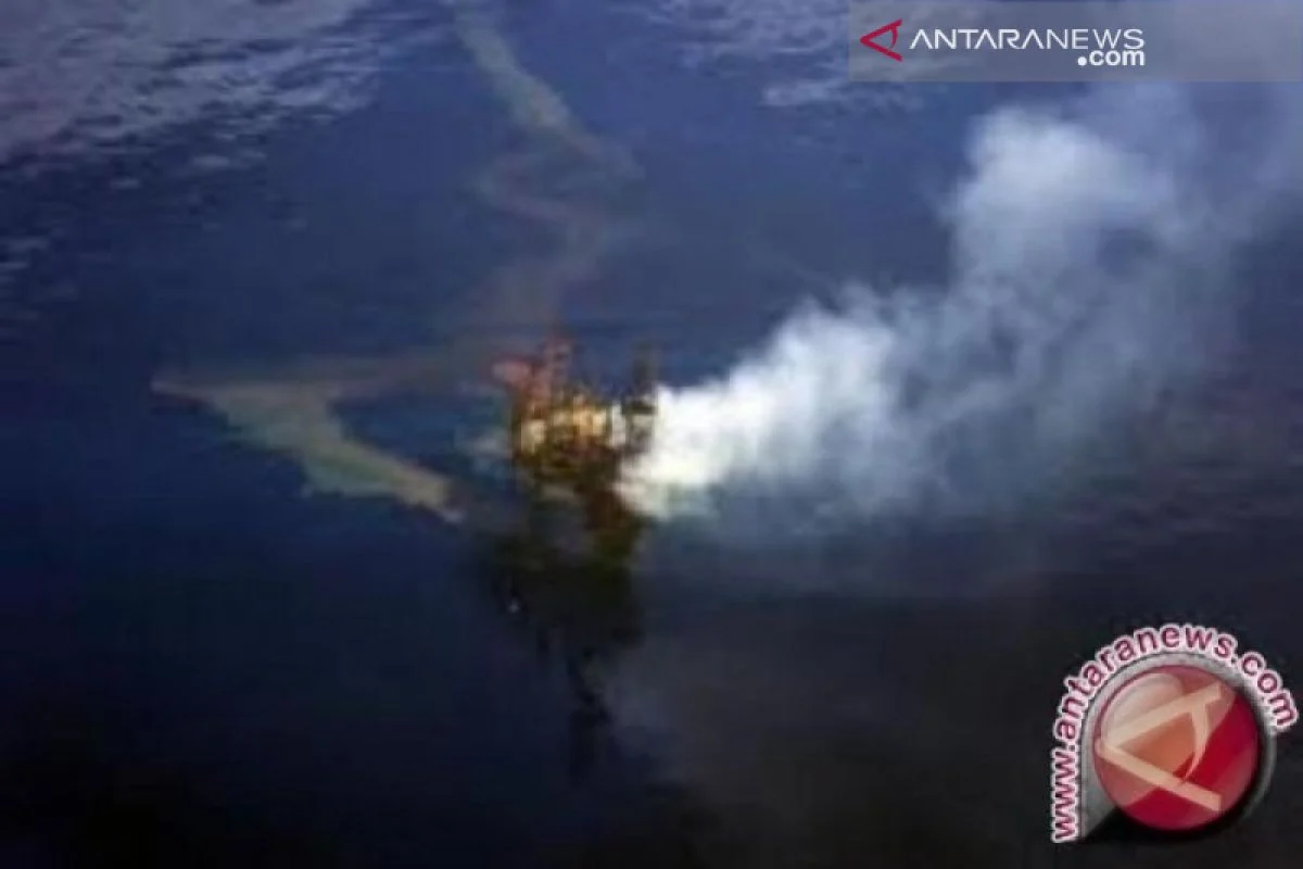 LPDP Siap Biayai Riset Pemulihan Ekosistem Laut Timor Pasca Tumpahan Minyak Montara