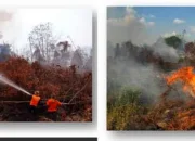 Maluku Utara Menghadapi Tantangan Kebakaran Hutan dan Lahan di Tengah Kemarau
