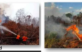 Maluku Utara Menghadapi Tantangan Kebakaran Hutan dan Lahan di Tengah Kemarau