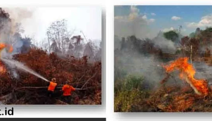Maluku Utara Menghadapi Tantangan Kebakaran Hutan dan Lahan di Tengah Kemarau