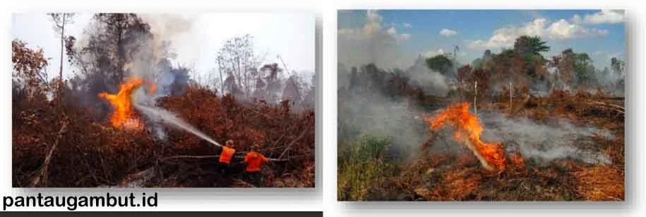 Maluku Utara Menghadapi Tantangan Kebakaran Hutan dan Lahan di Tengah Kemarau
