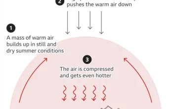 Mengenal Fenomena Heat Dome yang Membuat Suhu Bumi Meningkat