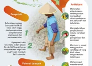 Menghadapi Musim Kemarau: Upaya Pemerintah dan Dampak El Nino