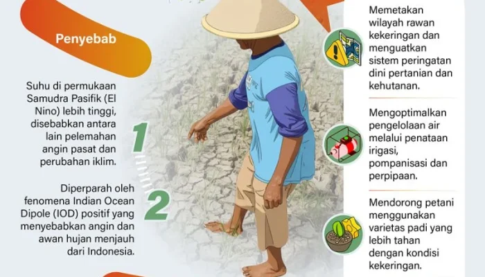 Menghadapi Musim Kemarau: Upaya Pemerintah dan Dampak El Nino