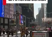 New York City Menghadapi Gelombang Panas, Lebih Dari 100 Kucing Diselamatkan