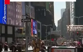 New York City Menghadapi Gelombang Panas, Lebih Dari 100 Kucing Diselamatkan