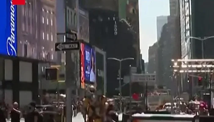 New York City Menghadapi Gelombang Panas, Lebih Dari 100 Kucing Diselamatkan