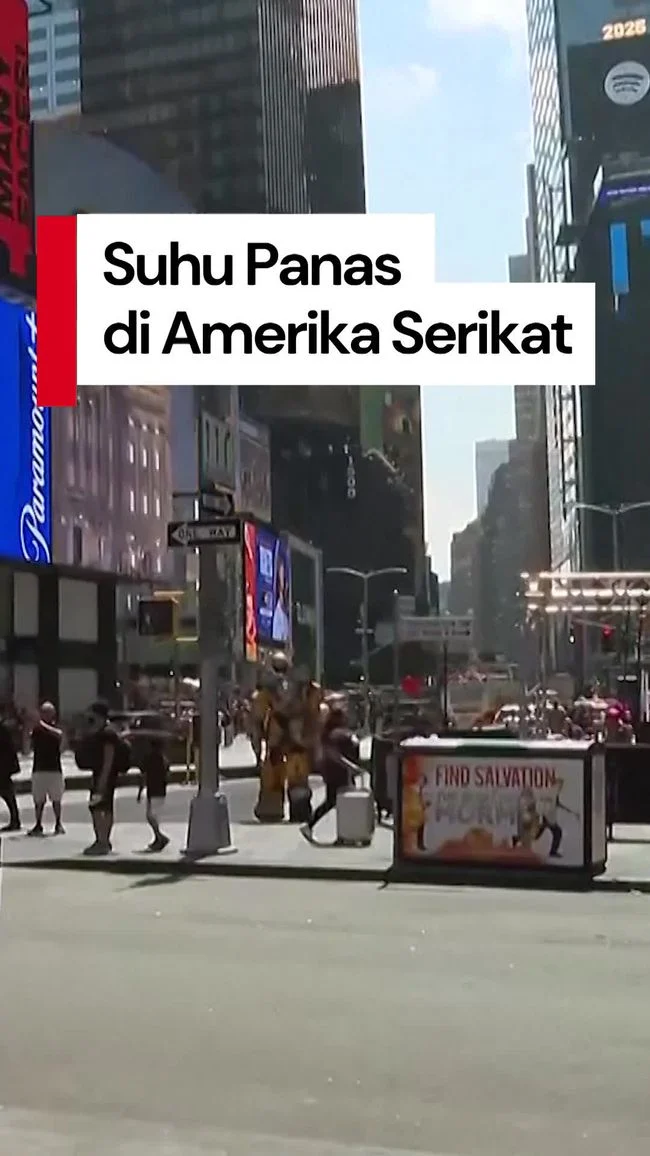 New York City Menghadapi Gelombang Panas, Lebih Dari 100 Kucing Diselamatkan