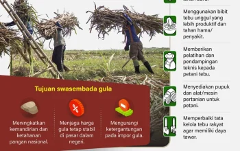 Pabrik Gula di Indonesia: Dari Pendataan CPCL Hingga Target Swasembada Gula Nasional