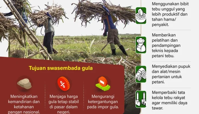 Pabrik Gula di Indonesia: Dari Pendataan CPCL Hingga Target Swasembada Gula Nasional