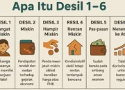 Pahami Arti Desil 1 Sampai 10 dalam DTSEN dan Cara Mengeceknya