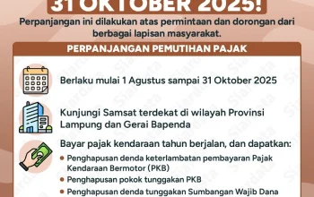 Pajak Kendaraan Tunggakan: Apa yang Harus Dilakukan?