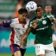 Palmeiras Siap Hadapi Cerro Porteño di Libertadores dan Persiapan Menuju Copa do Brasil