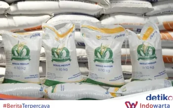 Pemerintah Salurkan Bansos Beras 30 Kg ke 33 Juta Keluarga, Ini Jadwal Penyalurannya
