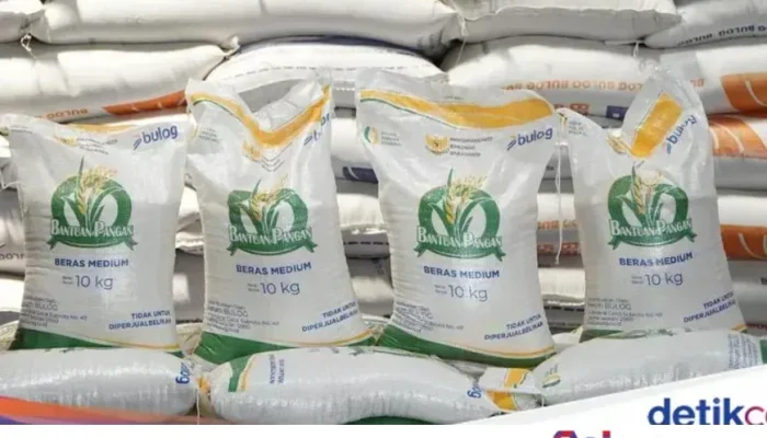 Pemerintah Salurkan Bansos Beras 30 Kg ke 33 Juta Keluarga, Ini Jadwal Penyalurannya