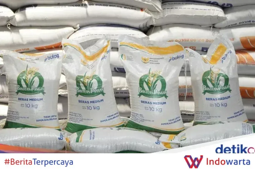 Pemerintah Salurkan Bansos Beras 30 Kg ke 33 Juta Keluarga, Ini Jadwal Penyalurannya