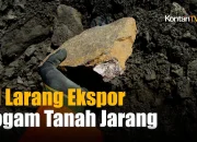 Pemerintah Tetapkan Larangan Ekspor Logam Tanah Jarang, Berdampak pada Pengolahan Mineral di Dalam Negeri