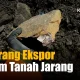 Pemerintah Tetapkan Larangan Ekspor Logam Tanah Jarang, Berdampak pada Pengolahan Mineral di Dalam Negeri