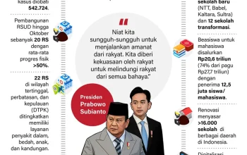Pemerintahan Prabowo Subianto Dinilai Memuaskan, Berikut Alasannya
