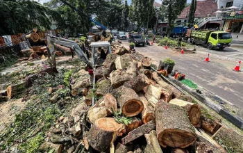 Penebangan Pohon di Bandung: Kasus yang Menimbulkan Keprihatinan dan Tuntutan Hukum