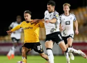 Pertandingan Wolves vs Port Vale Berakhir dengan Kekacauan di Tribun