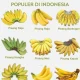 Pisang: Buah yang Kaya Manfaat dan Variasi Kuliner