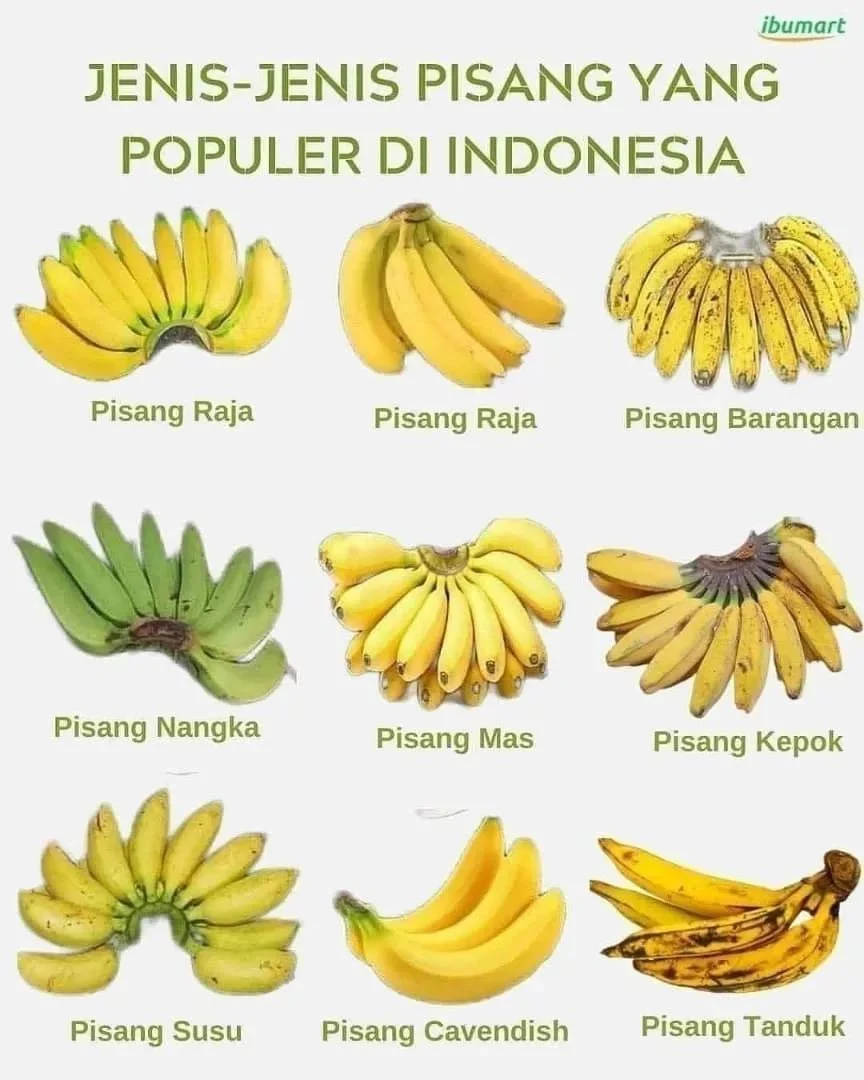 Pisang: Buah yang Kaya Manfaat dan Variasi Kuliner